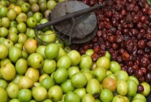 সরস্বতী পুজোর আগে আমরা কুল খাই না কেন? জেনে নিন 1