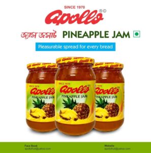 কাশ্মীরে জঙ্গি পরিবারের সদস্য পাবেন না সরকারি চাকরি, সন্ত্রাসে লাগাম টানতে হুঙ্কার শাহের 1